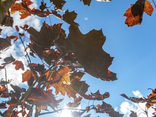 Ferienhaus Rendeux  39