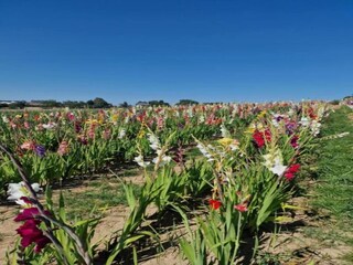 Casa de vacaciones Rendeux Entorno 27