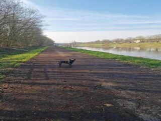 Casa per le vacanze Rendeux Ambiente 29