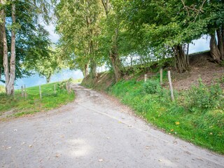 Holiday house Lierneux Environment 34