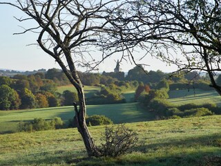 Maison de vacances Verviers Environnement 27