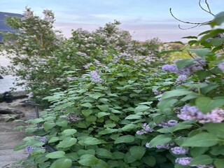 Vakantiehuis Verviers Omgeving 34