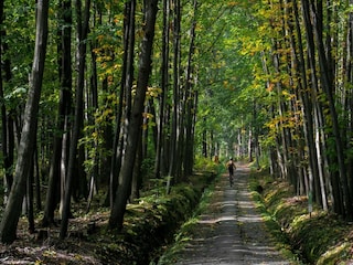 Maison de vacances Robertville Environnement 32