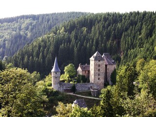 Ferienhaus Robertville Umgebung 35