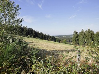 Ferienhaus Robertville Umgebung 34