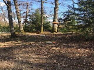 Chalet Barvaux-sur-Ourthe Environnement 36