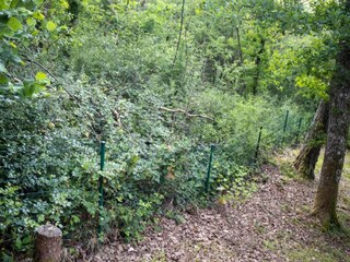 Chalet Barvaux-sur-Ourthe Umgebung 28