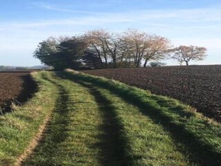 Chalet Barvaux-sur-Ourthe Ambiente 32