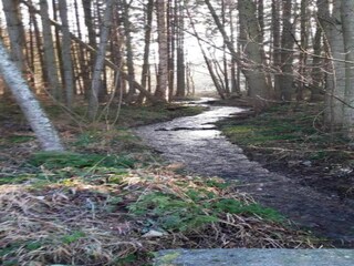 Chalet Barvaux-sur-Ourthe Environnement 39