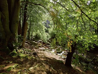 Holiday house Jalhay Environment 34