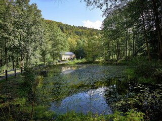 Ferienhaus Jalhay Außenaufnahme 5