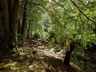 Maison de vacances Jalhay Environnement 38