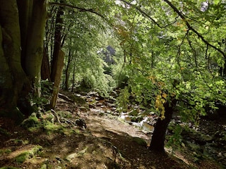 Vakantiehuis Jalhay Omgeving 38