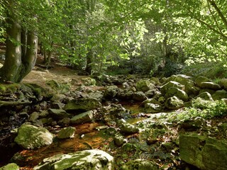 Holiday house Jalhay Environment 39