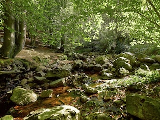 Maison de vacances Jalhay Environnement 39