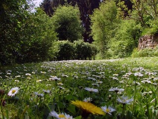 Casa per le vacanze Hastière Ambiente 37