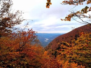 Casa per le vacanze Rendeux Ambiente 33