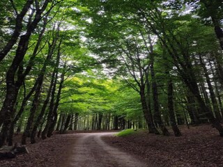 Ferienhaus Rendeux Umgebung 29