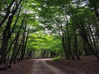 Vakantiehuis Rendeux Omgeving 29