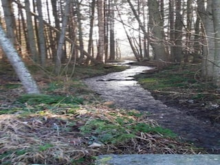 Ferienhaus Rendeux Umgebung 28