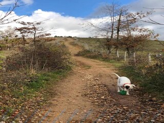 Ferienhaus Rendeux Umgebung 30