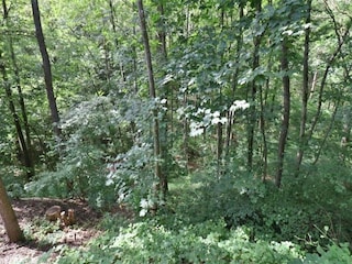 Ferienhaus Rendeux Umgebung 26