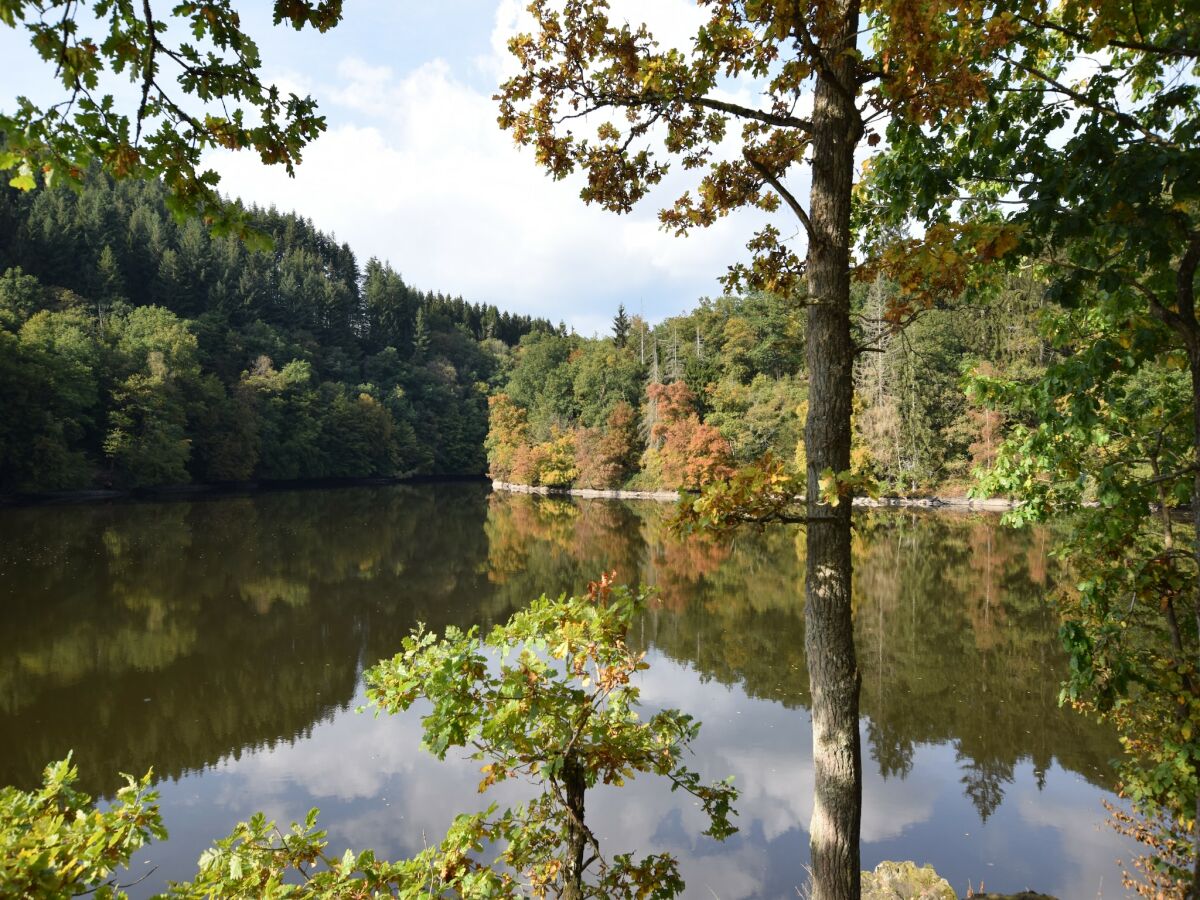 Ferienhaus La Roche-en-Ardenne Umgebung 35