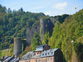 Maison de vacances La Roche-en-Ardenne Environnement 36