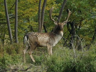 Villa Barvaux-sur-Ourthe Omgeving 27