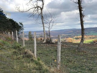 Villa Barvaux-sur-Ourthe Environnement 34