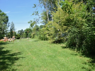 Ferienhaus Houffalize Außenaufnahme 2