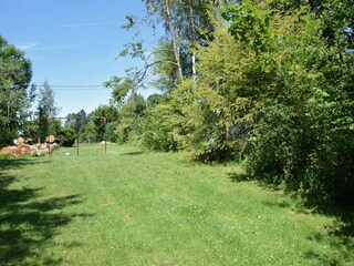 Vakantiehuis Houffalize Buitenaudio-opname 6