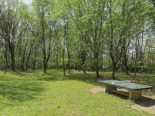 Villa Rendeux Outdoor Recording 4