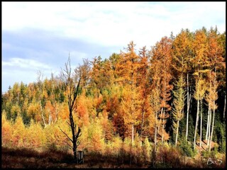 Villa Houffalize Omgeving 33