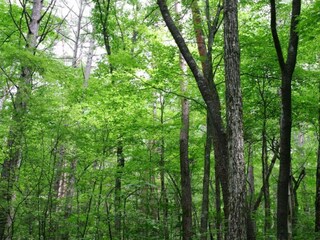 Villa Houffalize Environnement 34