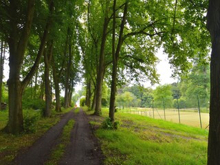 Vakantiehuis Gesves Omgeving 26