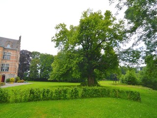 Ferienhaus Gesves Außenaufnahme 11