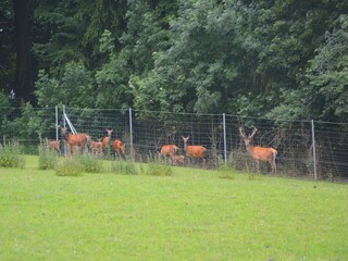 Ferienhaus Gesves Umgebung 28