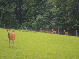 Vakantiehuis Gesves Omgeving 24