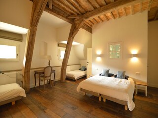 Castle Havelange Features 20