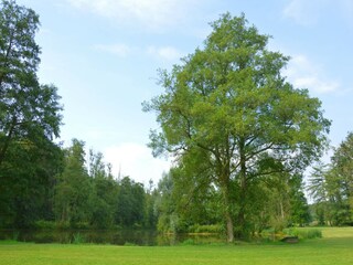 Schloss Havelange Außenaufnahme 7