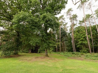 Villa Tenneville Outdoor Recording 5