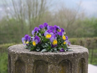 Kasteel Stavelot  45