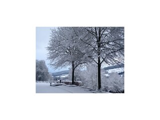 Kasteel Stavelot  40