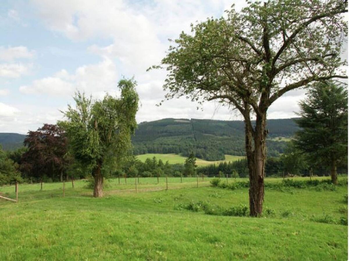 Ferienhaus Stoumont Außenaufnahme 3