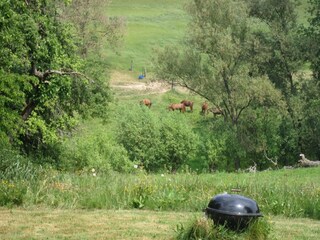 Vakantiehuis Ittre Omgeving 30