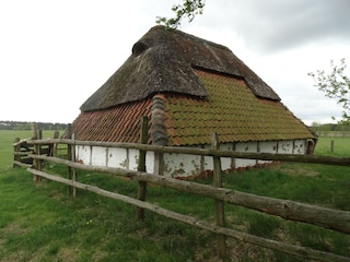 Chalet Oud-Turnhout Ambiente 25