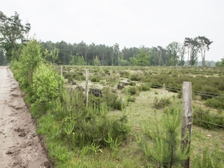 Chalet Oud-Turnhout Ambiente 29