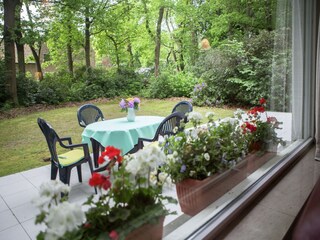 Ferienhaus Brecht Außenaufnahme 5