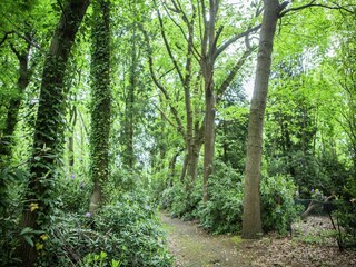 Vakantiehuis Brecht Omgeving 25